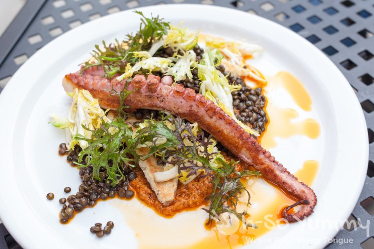 octopus at Red Card Cafe in San Diego California octopus at Red Card Cafe in San Diego California