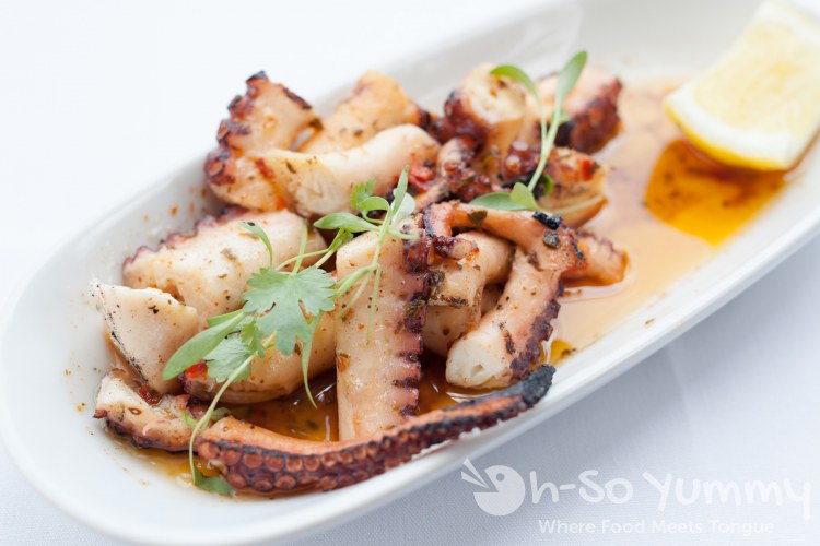 octopus at Romesco Mexiterranean Cocina in San Diego octopus at Romesco Mexiterranean Cocina in San Diego