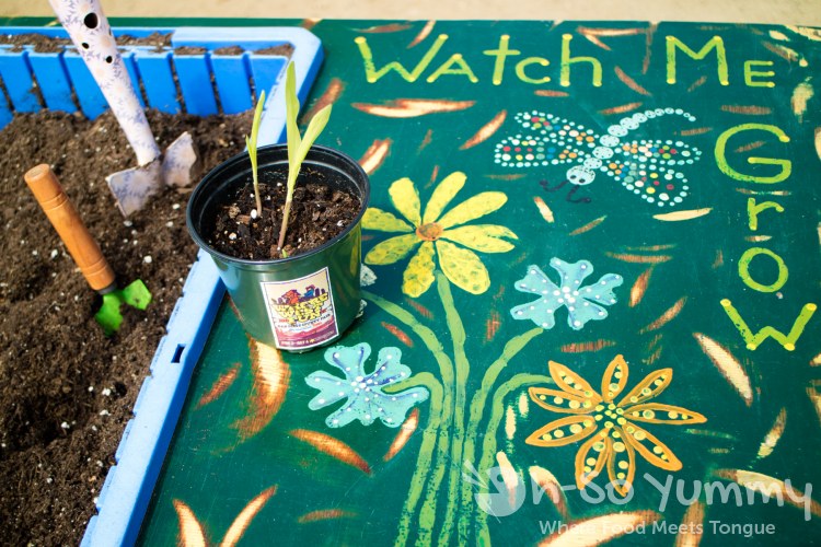 grow your own fruit or vegetable at San Diego Fair 2017 Where the West is Fun grow your own fruit or vegetable at San Diego Fair 2017 Where the West is Fun