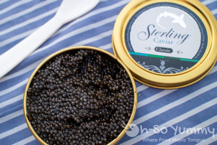 Sterling Caviar Classic 30 gram tin with mother of pearl tasting spoon Sterling Caviar Classic 30 gram tin with mother of pearl tasting spoon