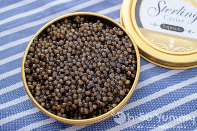 Sterling Caviar Supreme tin for tasting Sterling Caviar Supreme tin for tasting
