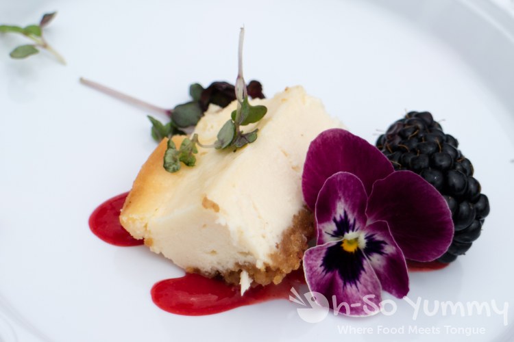 Best Damn Cheesecake during Tacotopia in Golden Hill Park San Diego Best Damn Cheesecake during Tacotopia in Golden Hill Park San Diego