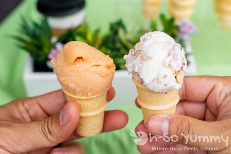 Hammonds Ice Cream at Taste of North Park Hammonds Ice Cream at Taste of North Park