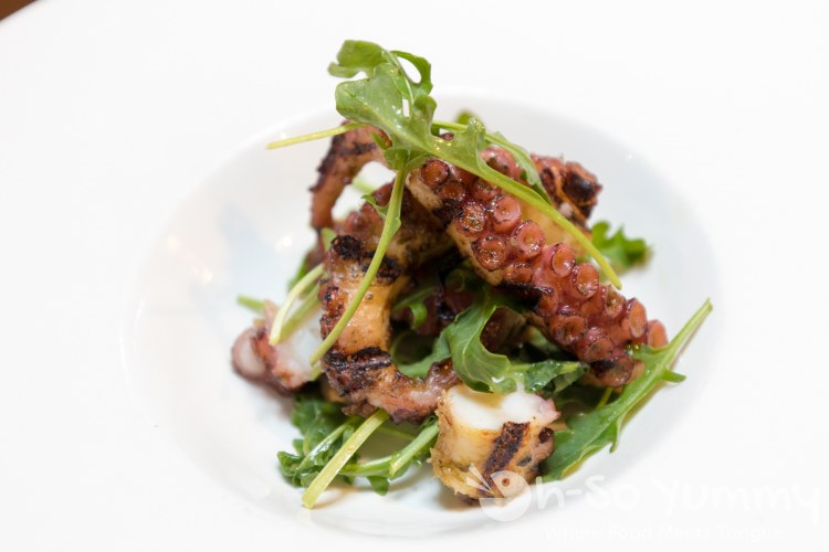 Grilled Octopus at Terra American Bistro in San Diego Grilled Octopus at Terra American Bistro in San Diego