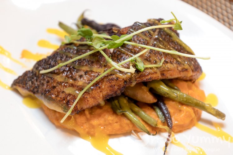 Cocoa Spiced Local Fish at Terra American Bistro in San Diego Cocoa Spiced Local Fish at Terra American Bistro in San Diego