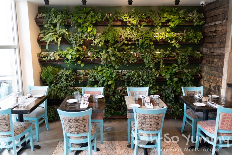 living walls at Farmer's Table restaurant in Little Italy living walls at Farmer's Table restaurant in Little Italy