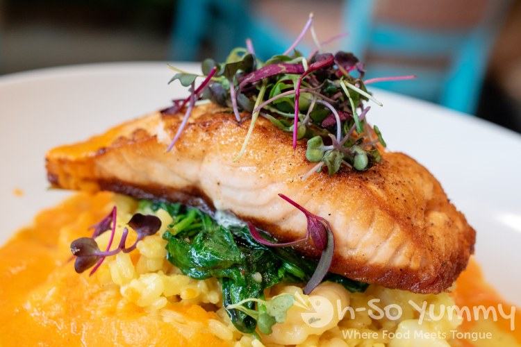 daily catch salmon at Farmer's Table restaurant in Little Italy daily catch salmon at Farmer's Table restaurant in Little Italy