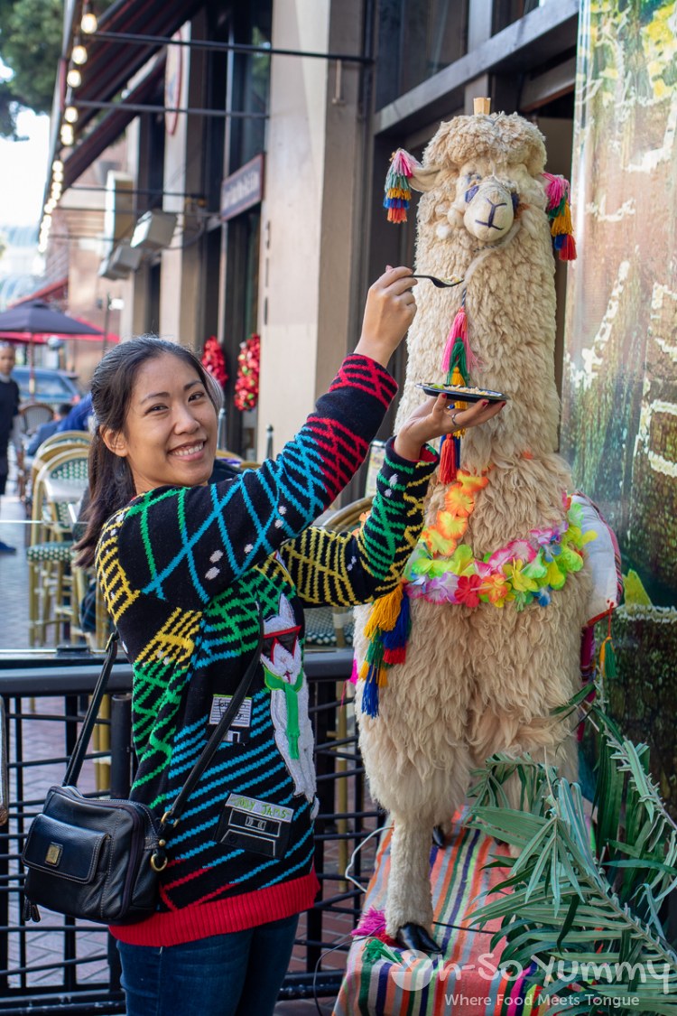 feeding the machu picchu llama at toast of gaslamp 2019 feeding the machu picchu llama at toast of gaslamp 2019