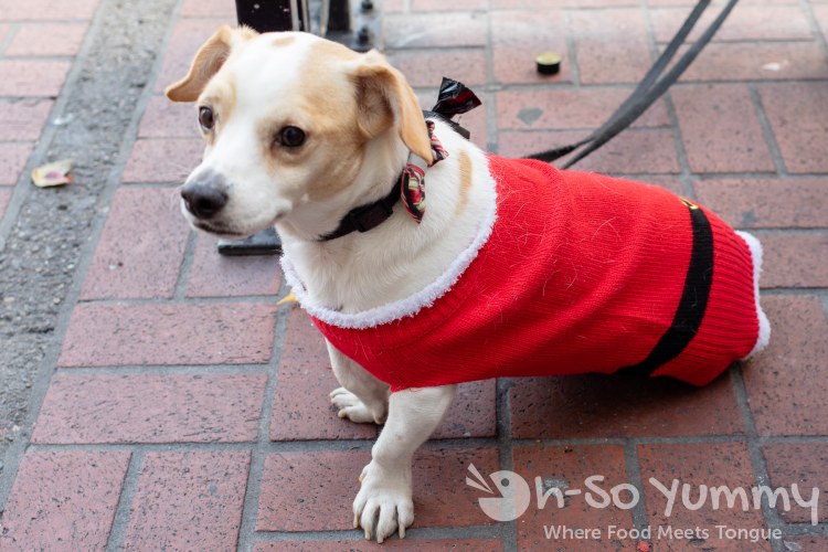 santa claws at toast of gaslamp 2019 santa claws at toast of gaslamp 2019