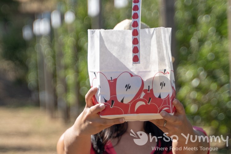 apple picking bag at Volcan Valley Apple Farm apple picking bag at Volcan Valley Apple Farm