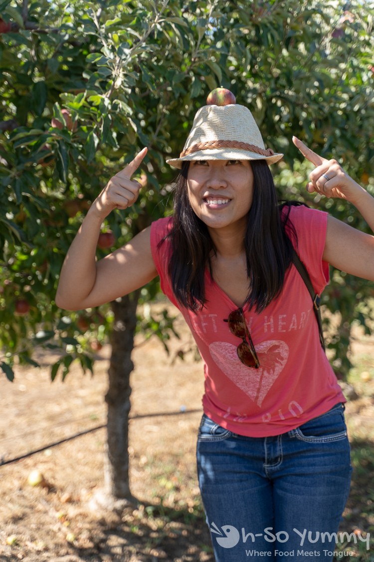 apple balancing at Volcan Valley Apple Farm apple balancing at Volcan Valley Apple Farm