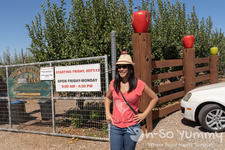 Volcan Valley Apple Farm fence with apples Volcan Valley Apple Farm fence with apples