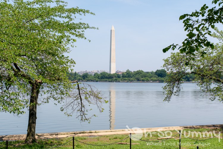 Washington Monument in Washington DC Washington Monument in Washington DC