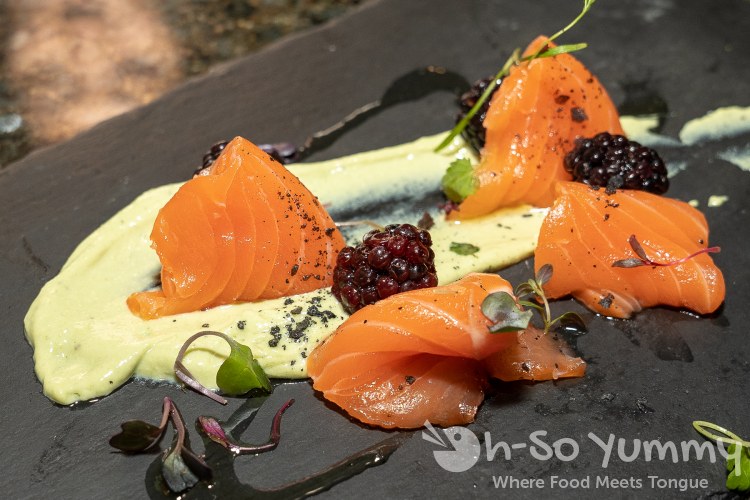 Salmon and Taragon and Blackberry at Wrench and Rodent in Oceanside Salmon and Taragon and Blackberry at Wrench and Rodent in Oceanside